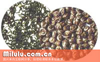 珠兰花茶的形态特征