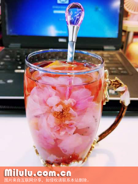 玫瑰花茶的价值功能