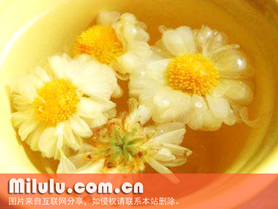 菊花茶