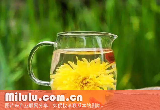 菊花茶照片