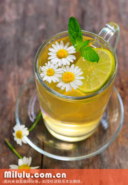 菊花茶照片
