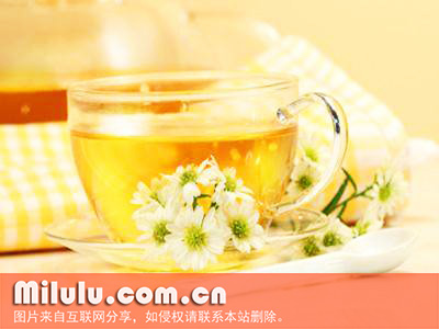 菊花茶