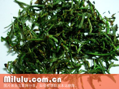 庐山云雾茶