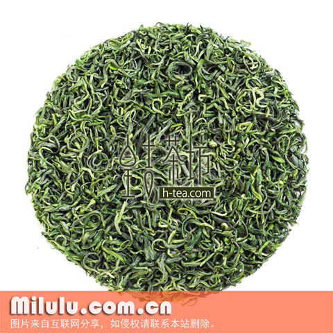 庐山云雾茶图片