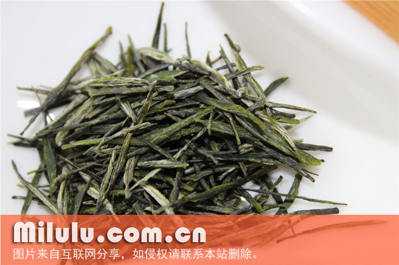 恩施玉露图片