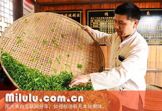 蒸青茶中文名
