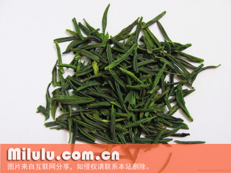 六安瓜片图片