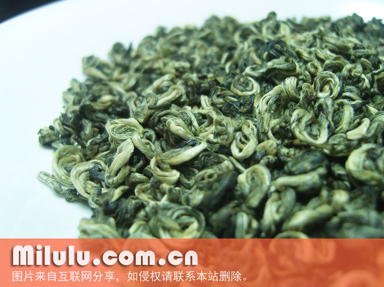 凌云白毫茶图片