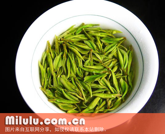 凌云白毫茶的产地环境
