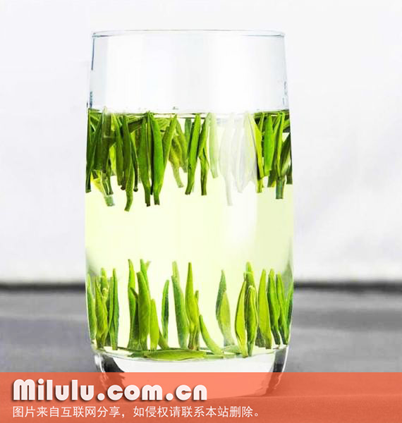 金坛雀舌茶图片