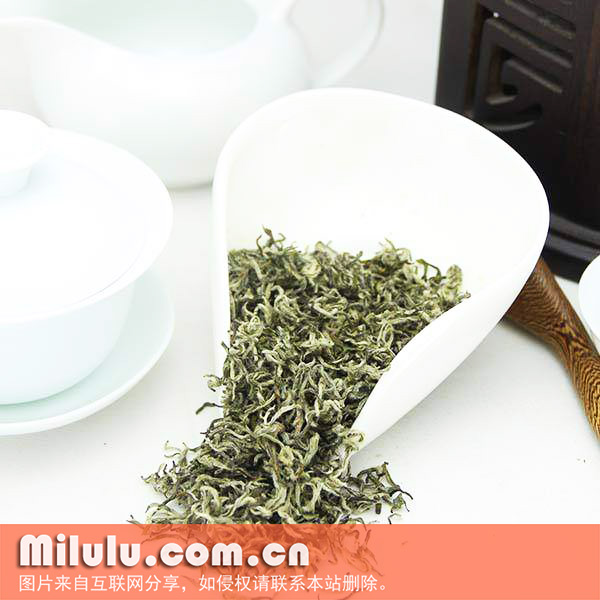 都匀毛尖茶的产地环境