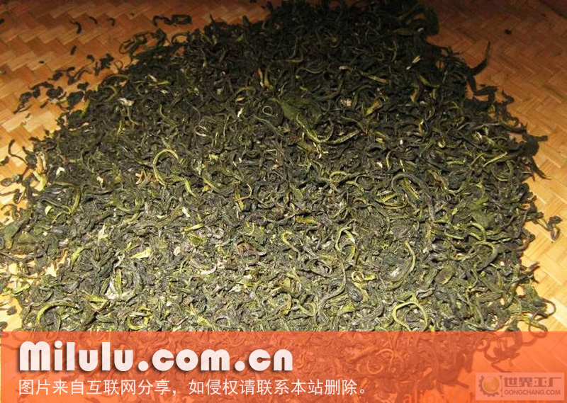 遵义毛峰茶图片
