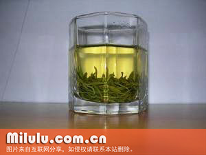 文君茶中文名