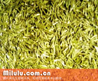 温州黄汤图片