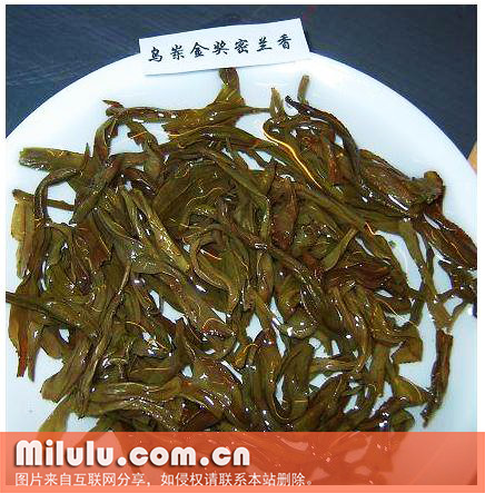 珠露茶图片