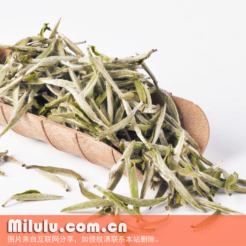 白茶图片