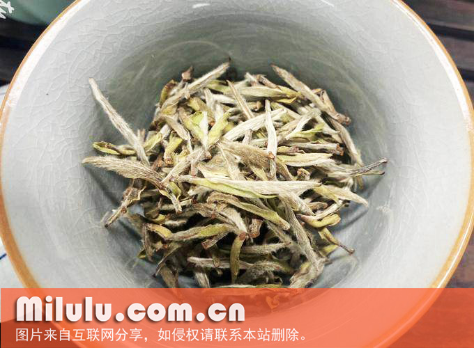 白毫银针图片