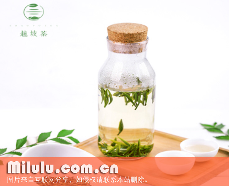 赵坡茶中文名
