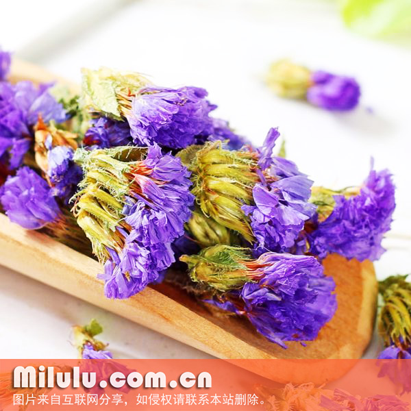 勿忘我花茶的特征