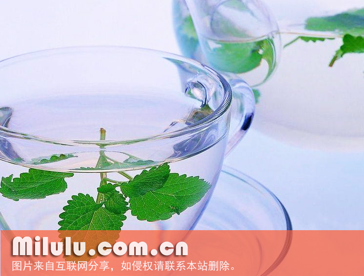 薄荷茶