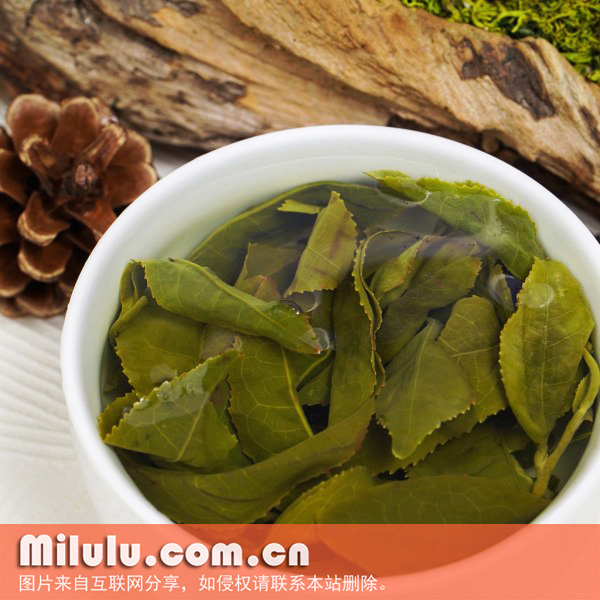大禹岭茶图片