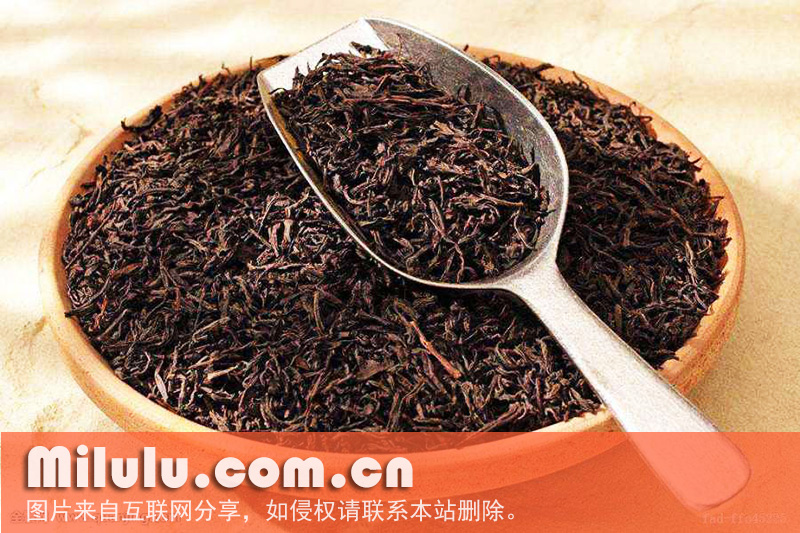 竹海金茗图片