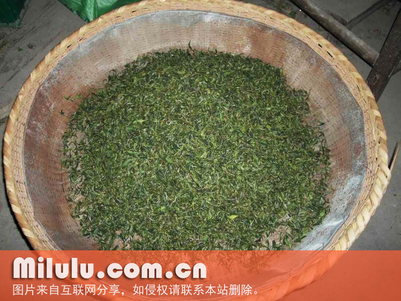 烘茶