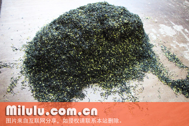 桂林桂花茶