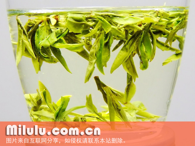 清明茶