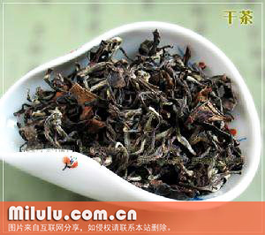 东方美人茶图片