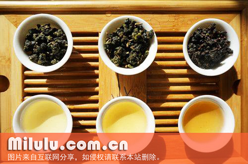 金萱茶