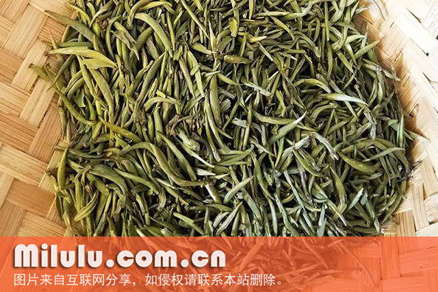 桐庐雪水云绿茶图片