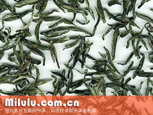 小布岩茶图片