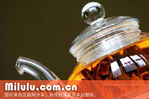 车云山毛尖中文名