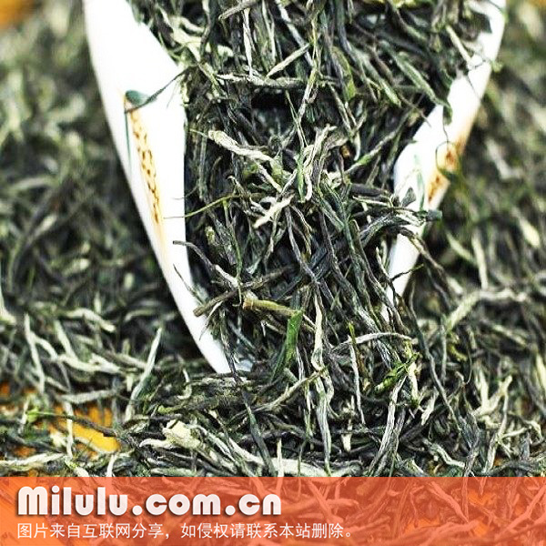 覃塘毛尖茶