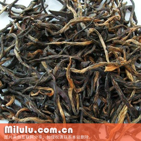 龙舞茶的茶叶介绍