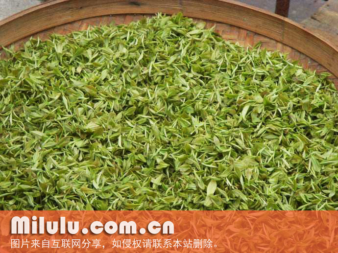 玲珑茶图片