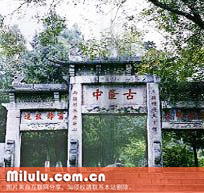 隆中茶图片