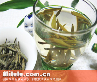蒸青煎茶