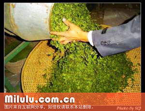 七境堂绿茶图片