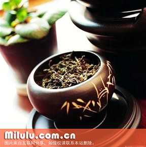 水仙茸勾茶图片