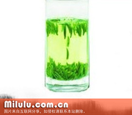 水仙茸勾茶中文学名