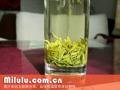 紫阳茶图片