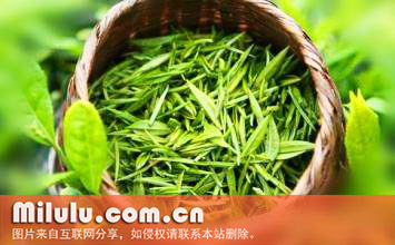 绿茶叶中文名外文名