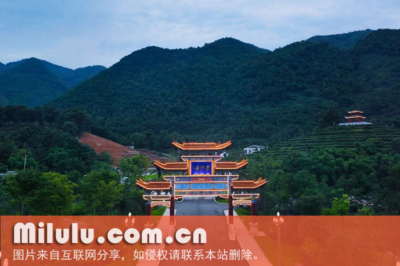 赵坡茶仙谷