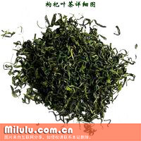 枸杞叶茶