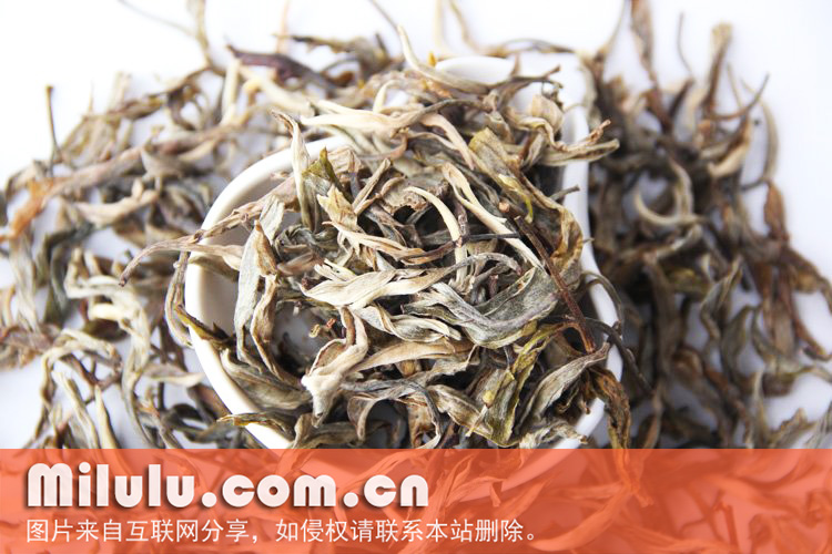 景谷大白茶图片