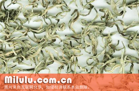 白毛茶的仁化白毛茶