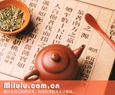 乐昌白毛茶图片