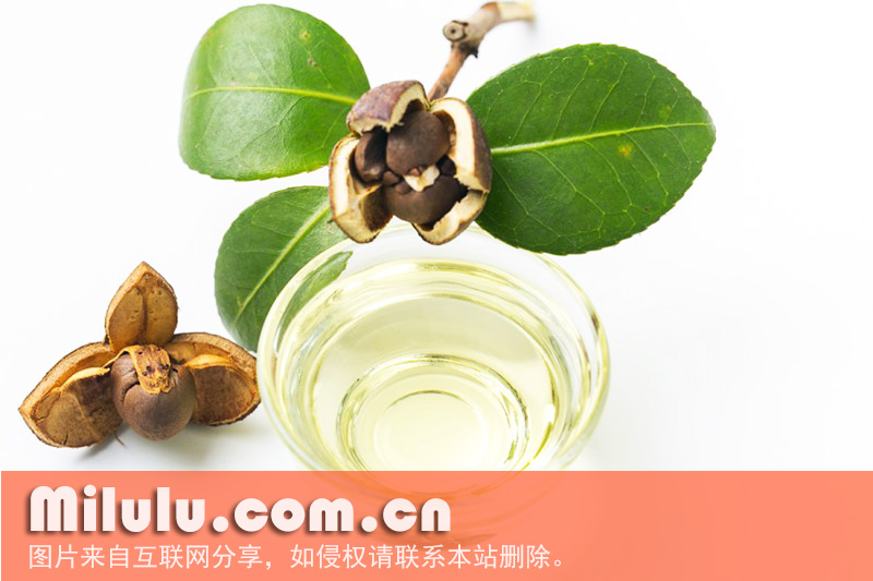 山茶油